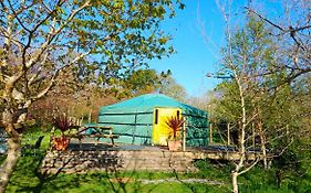 The Yurt In Cornish Woods A Glamping Experience